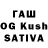 Псилоцибиновые грибы GOLDEN TEACHER Rekales