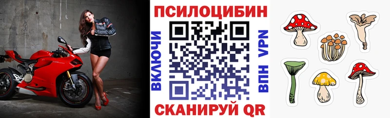 Галлюциногенные грибы Magic Shrooms  Черемхово 